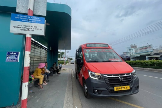 Những tuyến xe buýt nào ở Cần Thơ đang thu hút nhiều người sử dụng?