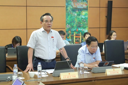 Tăng đại biểu chuyên trách để tăng tính chuyên nghiệp