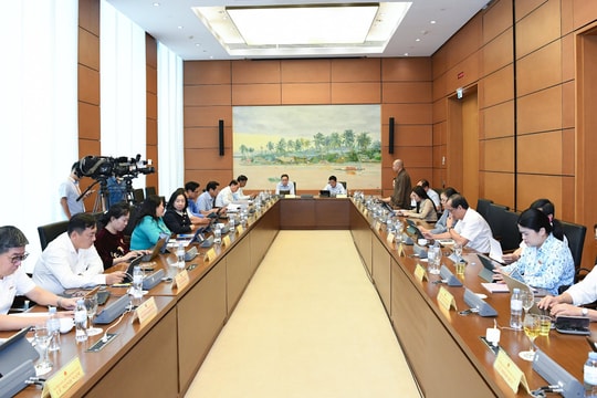 Chiều 21/10/2025: Họp tổ 8 (TP Cần Thơ và Điện Biên)