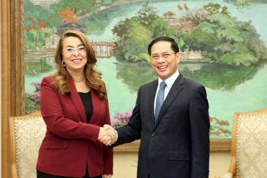 Vietnam, UNODC strengthen cooperation in crime prevention