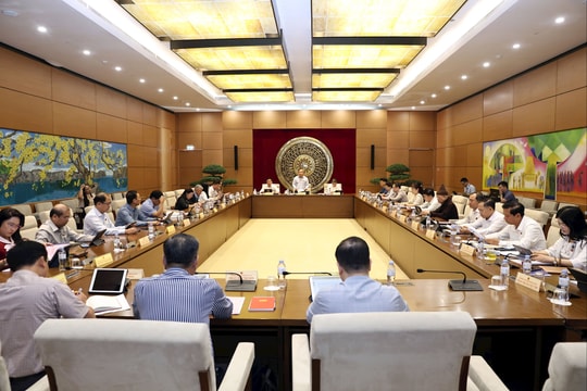 Tăng đầu tư hạ tầng vùng biên giới, hải đảo và thúc đẩy chuyển đổi số toàn diện