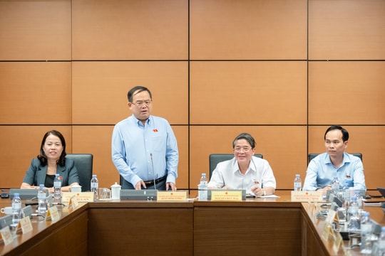 Cần hình thành 3 kỹ năng số, xã hội và xanh cho học sinh các cấp