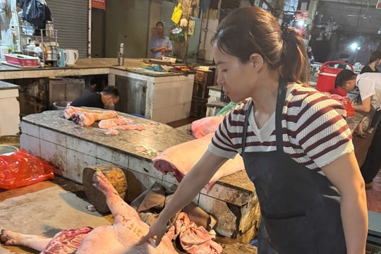 Hà Nội: Triệt phá nhóm đối tượng mua bán thịt lợn dương tính với dịch tả