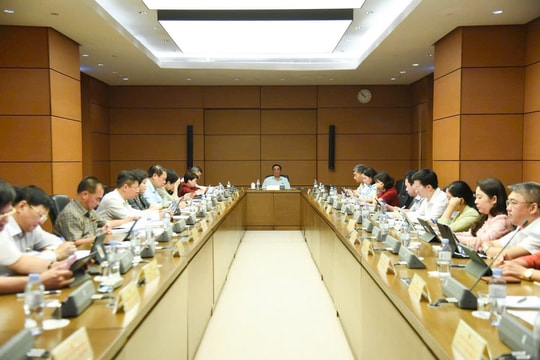 Phân luồng học sinh linh hoạt phù hợp với thực tiễn địa phương