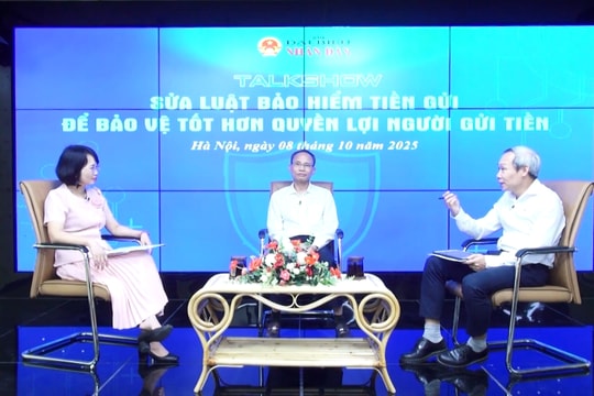 Ý kiến chuyên gia về Cơ cấu tổ chức của Tổ chức Bảo hiểm tiền gửi