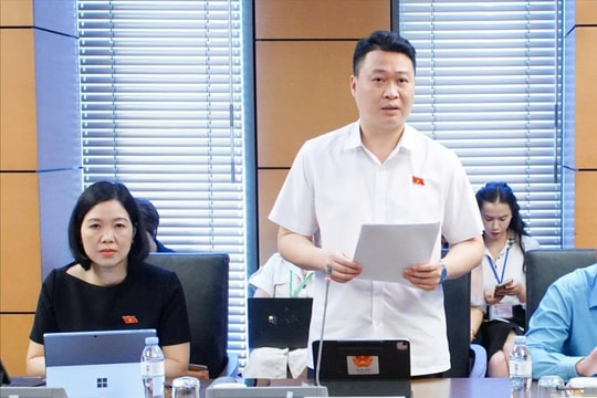 Nên giới hạn lĩnh vực ký hợp đồng với viên chức