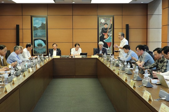 Sáng 22/10/2025: Thảo luận Tổ 9 (TP. Hải Phòng và Hưng Yên)