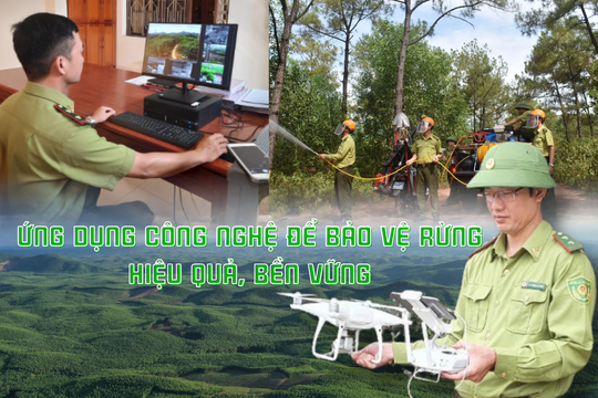 Ứng dụng công nghệ để bảo vệ rừng hiệu quả, bền vững