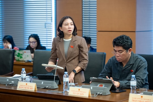 ĐBQH Hoàng Thị Thu Hiền (Nghệ An): Hoàn thiện các quy định để phát triển dân số bền vững