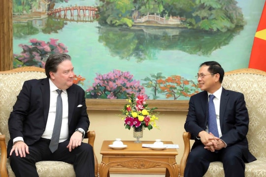 Deputy PM Bui Thanh Son receives US Ambassador E. Knapper