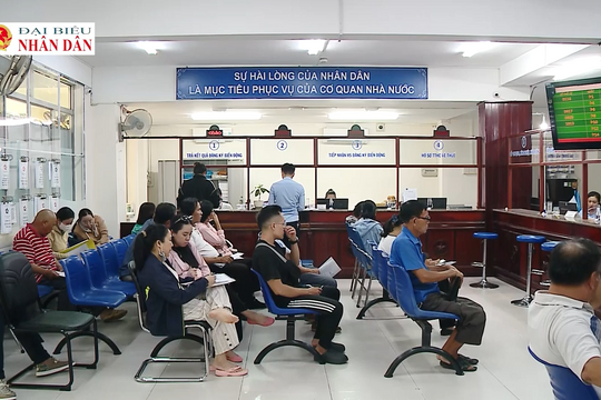 Nâng tầm đội ngũ viên chức – từ thể chế đến thực thi