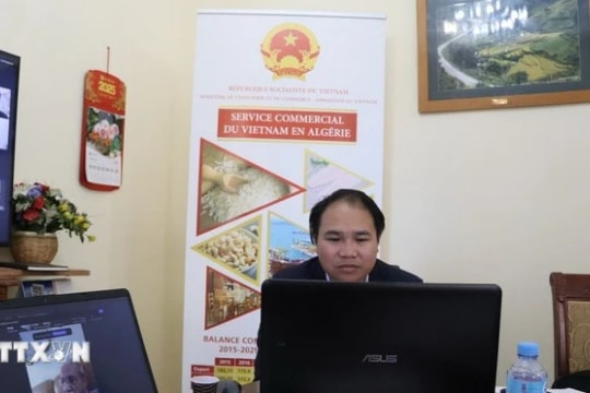 Vietnamese firms seek cooperation opportunities in African markets