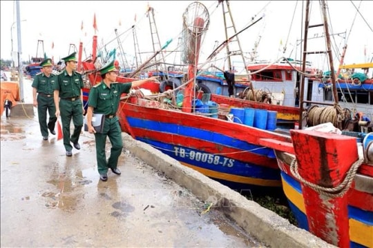 Hung Yen makes strong progress in fight against IUU fishing
