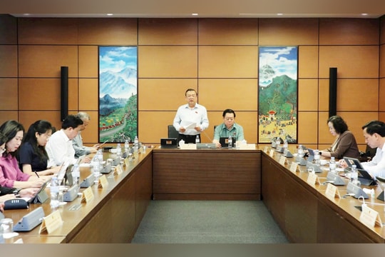 Tránh “trục lợi” chính sách khi thực hiện thủ tục phục hồi, phá sản