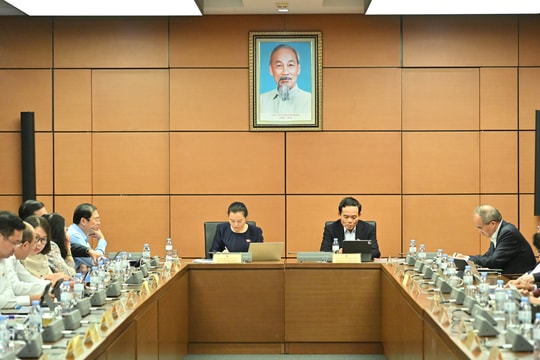 Sáng 23/10/2025, Thảo luận tổ TP Hồ Chí Minh