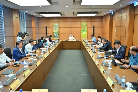 Sáng 23/10/2025, Thảo luận tổ 5 (Thái Nguyên, Gia Lai)