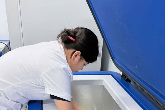 WHO hỗ trợ 9.000 liều vaccine phòng dại tại 2 tỉnh có nguy cơ cao ở Việt Nam