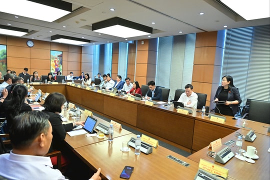 Chiều 23/10/2025, Thảo luận tổ 5 (Thái Nguyên, Gia Lai)