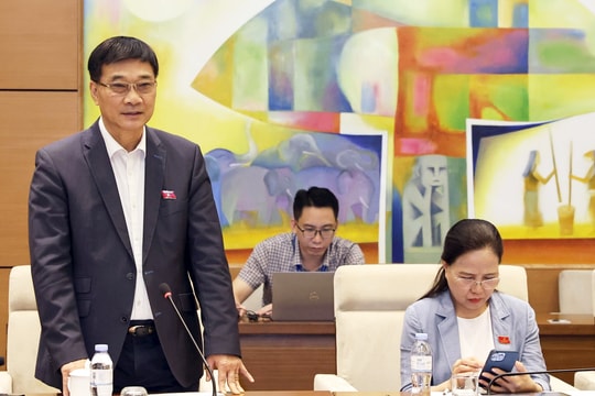 Bảo đảm quy trình, thủ tục phá sản không bị chồng chéo, mâu thuẫn