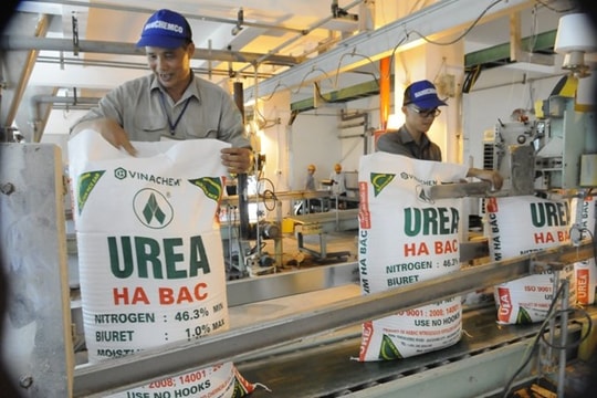 Đạm Hà Bắc (DHB) lỗ gần 100 tỷ chỉ trong một quý