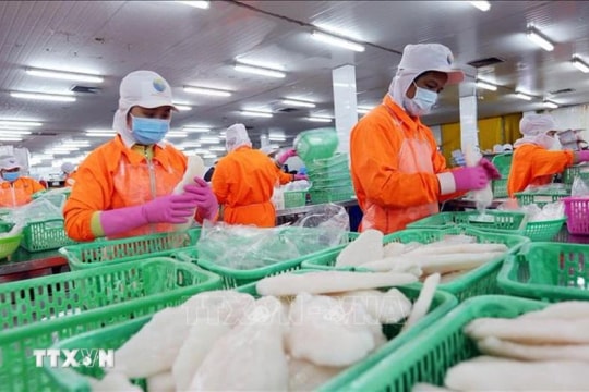 Vietnam maintains strong footing in Singapore’s seafood market