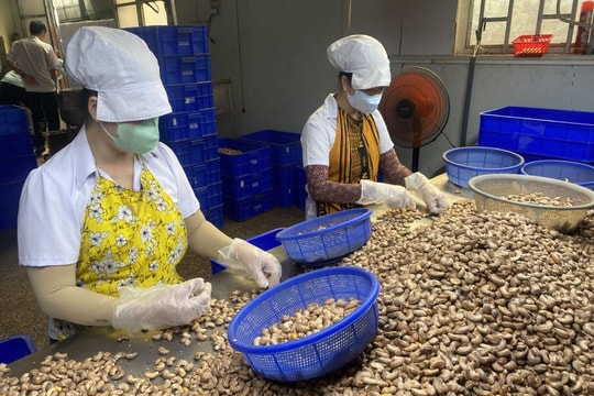 Đổi mới, nâng cao hiệu quả chính sách khuyến công sau sáp nhập