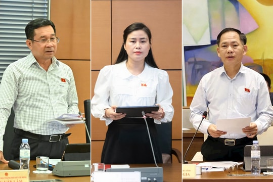 Bảo đảm cơ chế tự chủ khả thi và thực hiện tự chủ có trách nhiệm