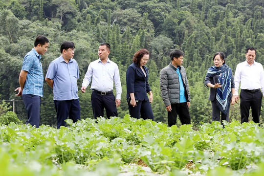 Tạo động lực phát triển bền vững khu vực miền núi