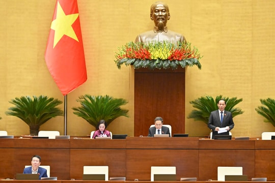 Hỗ trợ khai thác thương mại các đối tượng quyền sở hữu trí tuệ