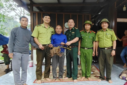 Quảng Trị: Giao nộp khỉ đuôi lợn quý hiếm trong buổi tuyên truyền bảo vệ động vật hoang dã