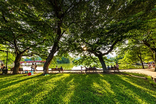 Dự báo thời tiết ngày 28/10: Từ Thanh Hóa đến Quảng Ngãi có nơi mưa vừa và mưa rất to