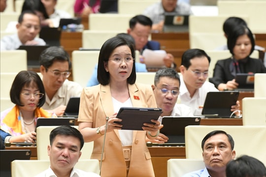 Thúc đẩy vận hành sàn giao dịch carbon