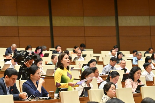 Hoàn thiện khung pháp lý về cấp giấy phép môi trường