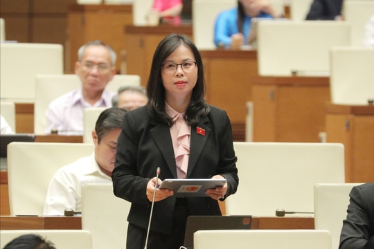 ĐBQH Chu Thị Hồng Thái (Lạng Sơn): Cần sớm hoàn thiện cơ chế tài chính môi trường