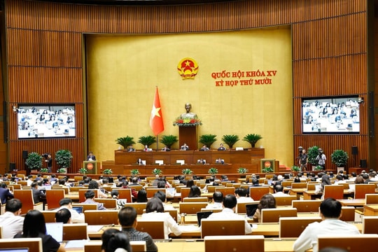 Lawmakers review environment protection progress under 2020 law