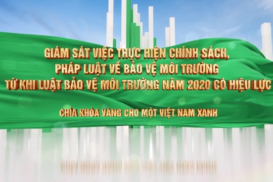 Giám sát việc thực hiện chính sách, pháp luật về bảo vệ môi trường từ khi Luật Bảo vệ môi trường năm 2020 có hiệu lực