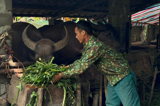 Hướng đi bền vững trong giảm nghèo vùng đồng bào dân tộc thiểu số ở Thái Nguyên