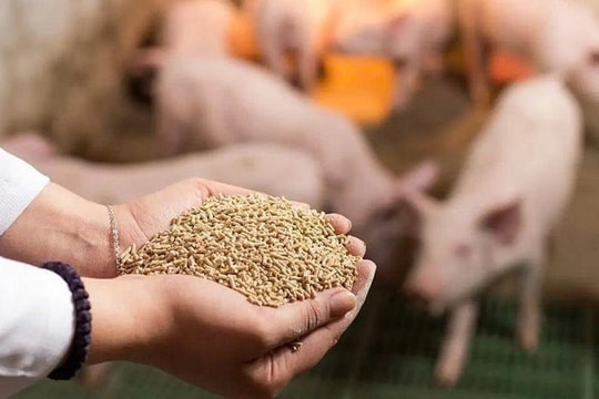 Gỡ vướng thuế giá trị gia tăng cho nông sản, thức ăn chăn nuôi