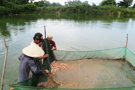 Lai Châu: Giảm nghèo, tạo động lực phát triển bao trùm