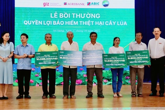 Bảo hiểm Agribank chi trả bảo hiểm cây lúa cho nông dân An Giang