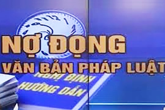 Khắc phục triệt để tình trạng "luật chờ nghị định..."