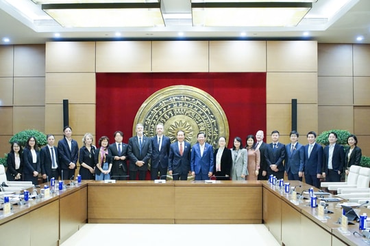 Chủ nhiệm Ủy ban Kinh tế và Tài chính Phan Văn Mãi tiếp Đoàn Liên minh Diễn đàn doanh nghiệp Việt Nam