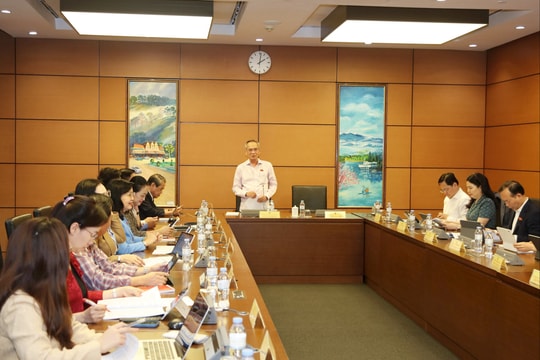 Chiều 31/10/2025, Thảo luận tổ 8 (Bắc Ninh, Cà Mau)