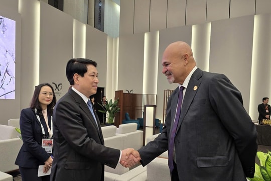 Chủ tịch nước Lương Cường gặp lãnh đạo một số thành viên APEC