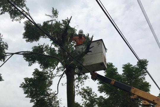 Công ty Điện lực Hưng Yên nâng cao hiệu quả an toàn hành lang lưới điện