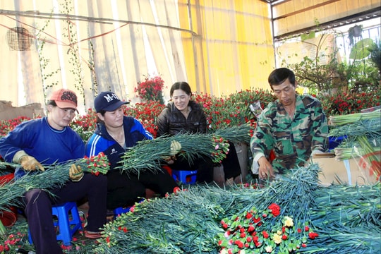 Tạo sức bật mạnh mẽ