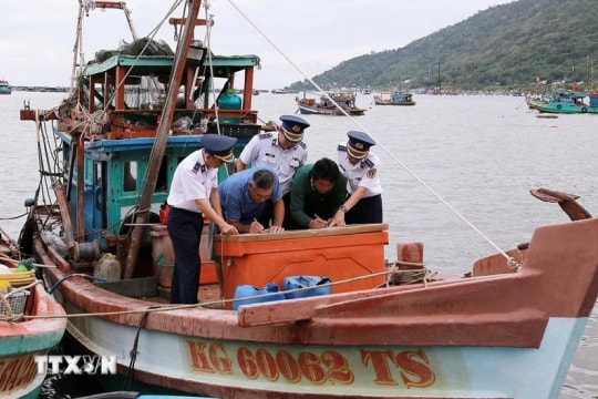 Lam Dong resolves all VMS disconnections in push for IUU “yellow card” removal