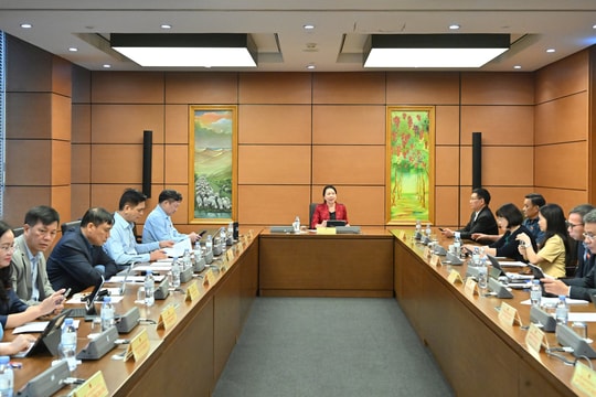 Sáng 31/10/2025, Thảo luận tổ 5 (Thái Nguyên, Gia Lai)