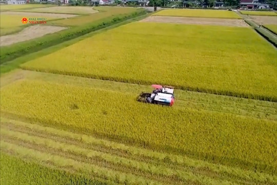 Hoàn thiện Luật Điều ước quốc tế: Gỡ điểm nghẽn, thúc đẩy hội nhập