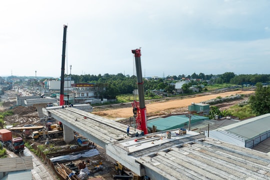 15 ngày đêm gác 42 phiến đầm Dự án cao tốc Biên Hòa - Vũng Tàu